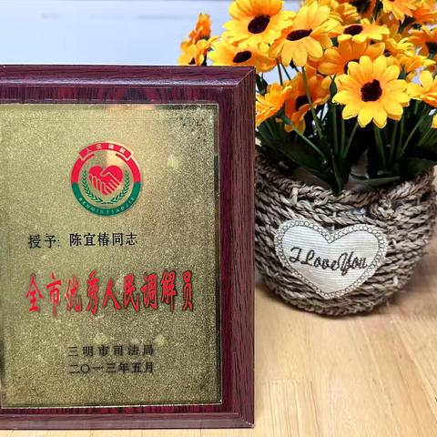 乡野先锋 | 陈宜椿：34年调解坚守 护航睦邻安乡