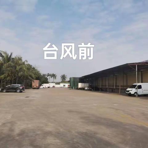 海南绿色工程有限公司 台风过后，重建工作进行中