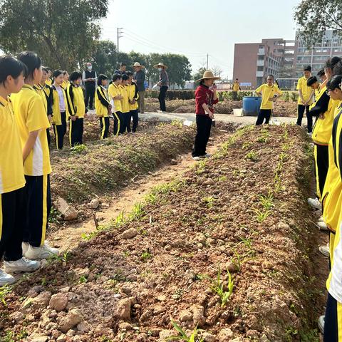 春耕正当时，不负好时光