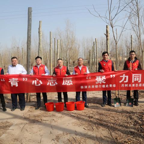 【“青”心志愿·“聚”力同行】临清农商银行开展“植”此青绿，共“树”未来志愿服务活动