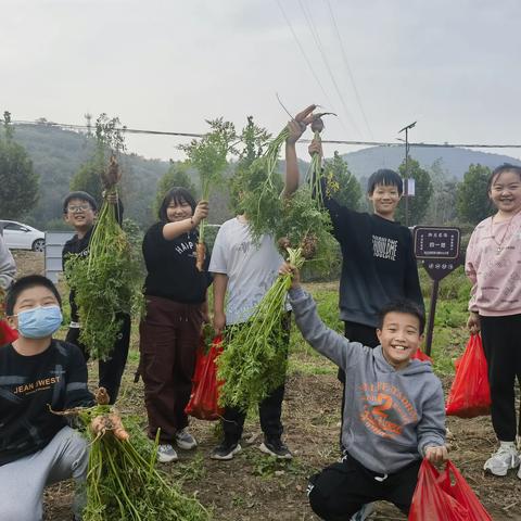 图文记录足迹，笔墨书写风华——夹津口镇中心小学周工作纪实