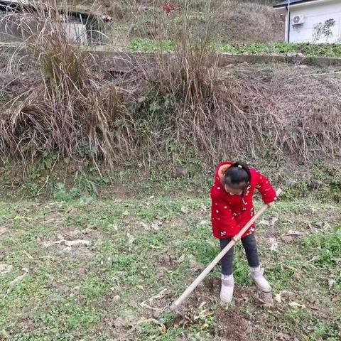 龙桥小学2023年春第二周作业公示