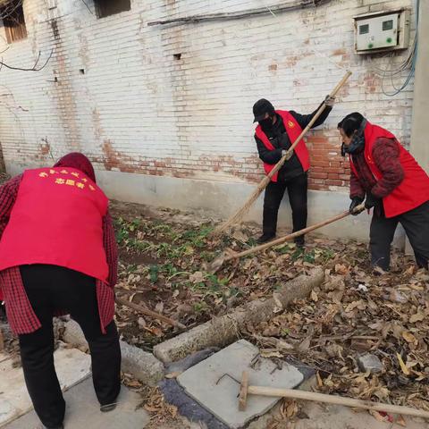 小韩村：义务清洁日植树保洁两不误