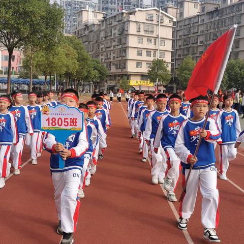 撒下汗水，收获成长—龙华小学1805班运动会精彩瞬间