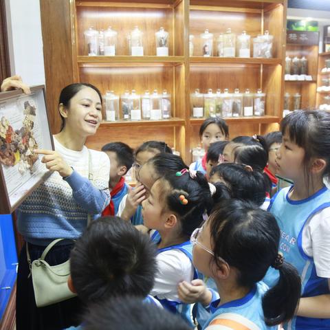 探秘国粹！乐群小学三（5）班开展中医药文化科普实践活动