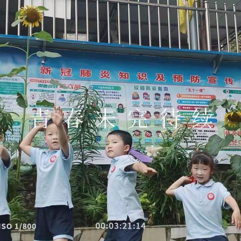 轻音浅唱，琴声悠扬——小太阳幼儿园教师弹唱技能培训活动