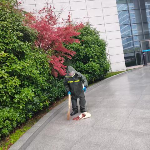 《雨枫保洁人》 	—-西安煤化实业陕煤研究院项目部