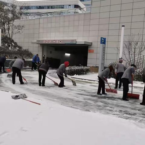 闻雪而动筑防线 平凡身影写不凡 ----陕煤研究院项目部保洁团队除雪记