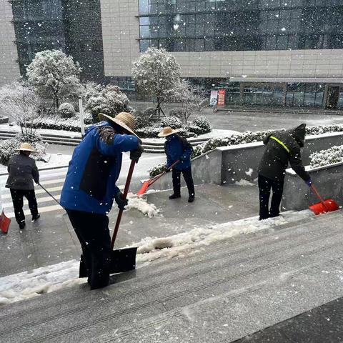 风雪迎开工 除雪保畅通——西安煤化实业陕煤研究院项目部物业保洁团队护航新春复工路