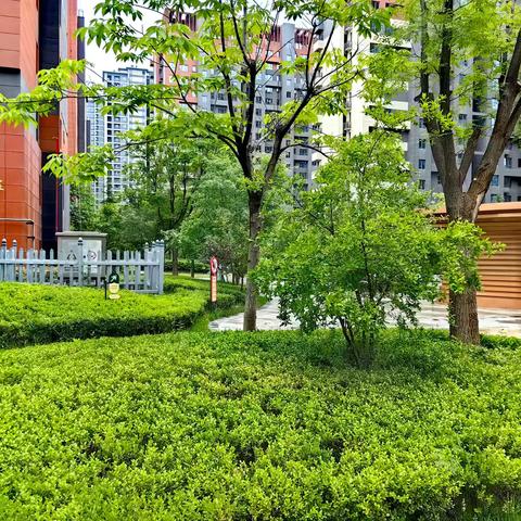 匠心雕琢草木 细节淬炼品质｜西安煤化实业蓝山水岸项目部用心护园 深耕美好服务