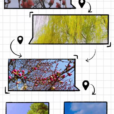 人间四月芳菲始，春日最美是校园