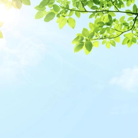 人生下半场的智慧：曾仕强七句话的生活启示