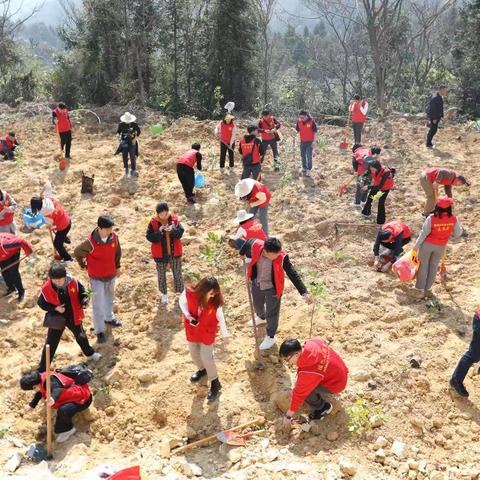 福建省农广校、福建省农体协、福州市农体协联合开展“争锋植绿护山河 奋勇争先美家园”植树节主题活动