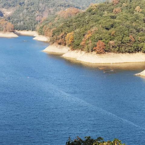 太平湖畔话太平