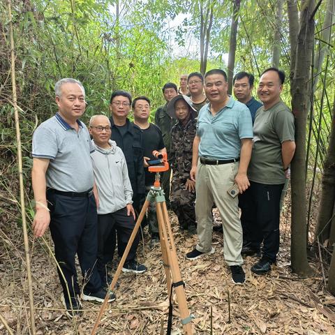 国家林草局华东院、省林业局联合督导组一行赴婺源县指导林草综合监测工作