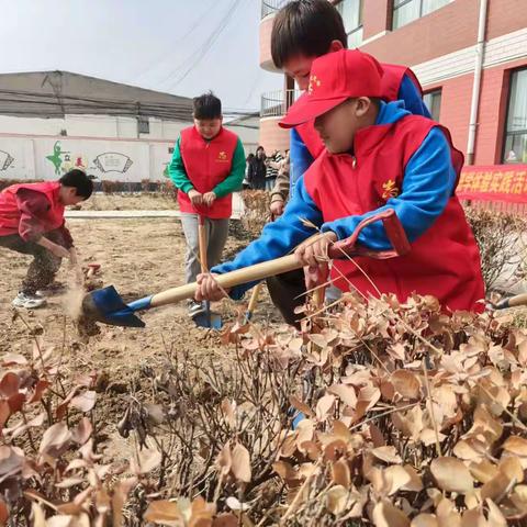 【坚持人民至上】“不负好春光，植树正当时”——北晋庄小学植树主题活动