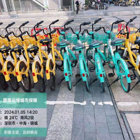 青桔共享单车（龙华区）运营周报