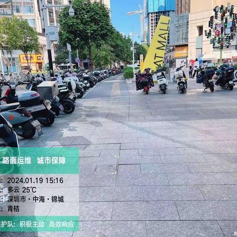 青桔共享单车（龙华区龙华街道）运营报告