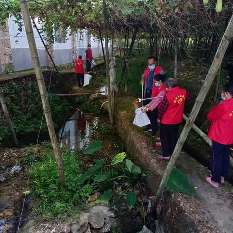 洋里乡持续开展“护河爱水、清洁家园”行动！