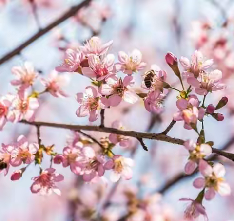 2023年2月月度服务报告