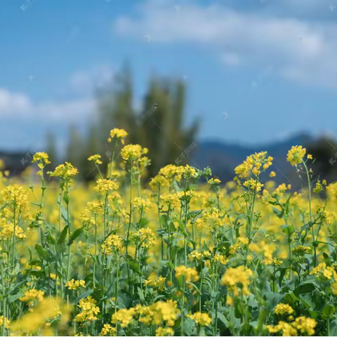 2023年3月月度服务报告