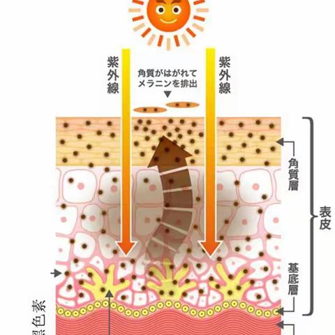 要美白祛斑有效果，大家要把握住四个原则：