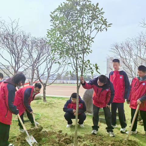 植桂添绿情满校园，敬师爱校志气飞扬