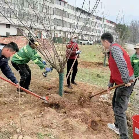 【植绿护绿践初心 劳动育人担使命】金刚台镇开展植树节主题活动