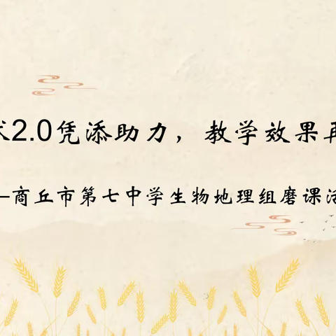 信息技术2.0凭添助力，教学效果再创新高