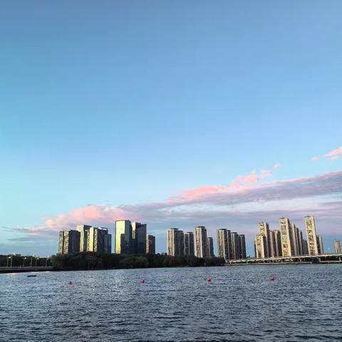 湖城投物业总部自由港项目2025年8月工作简报