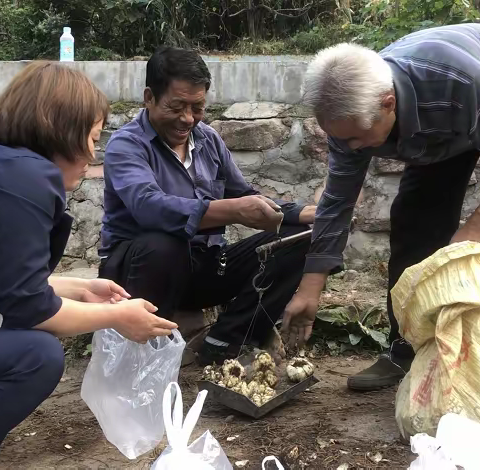 高山百合采挖体验 周末假期游玩好去处--邢台内丘招乜双楼山景区等你来！