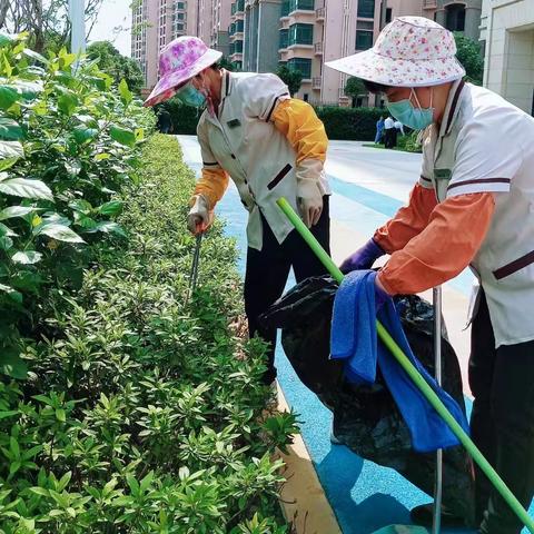 优居美家君熙府—“清道夫”