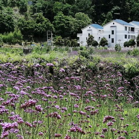 电脑小技巧