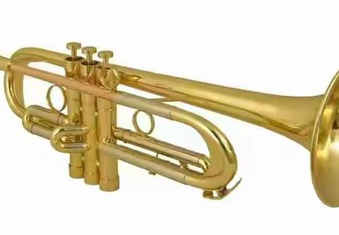 行知小学管乐团—乐器介绍