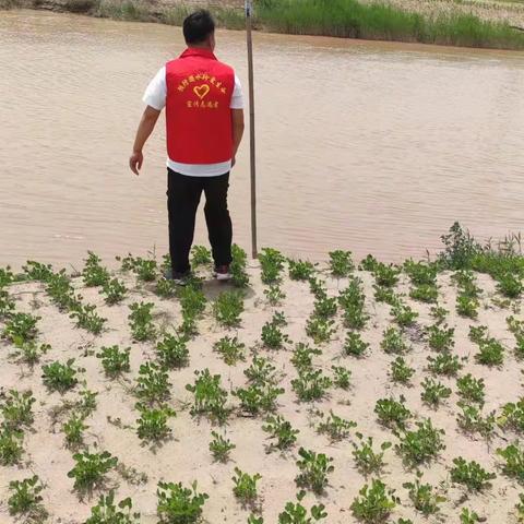 教师巡河，为学生撑起安全保护伞——春晖小学