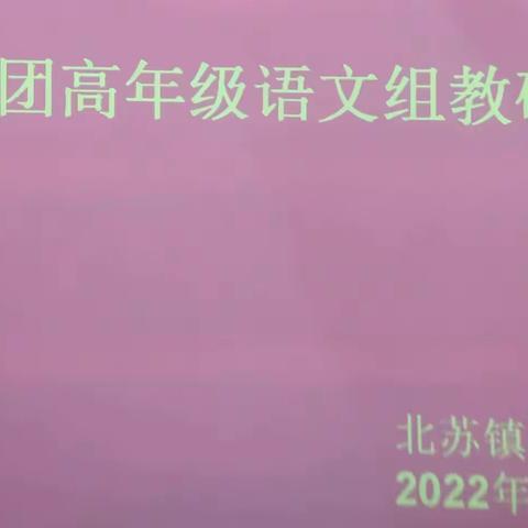 北苏学区南苏集团中高年级语文较长课文的教学方法教研提升活动