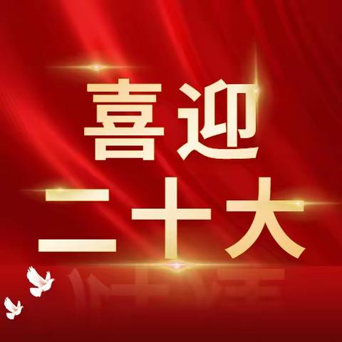 喜迎二十大 奋进新时代丨金促会党支部收看党的二十大开幕会