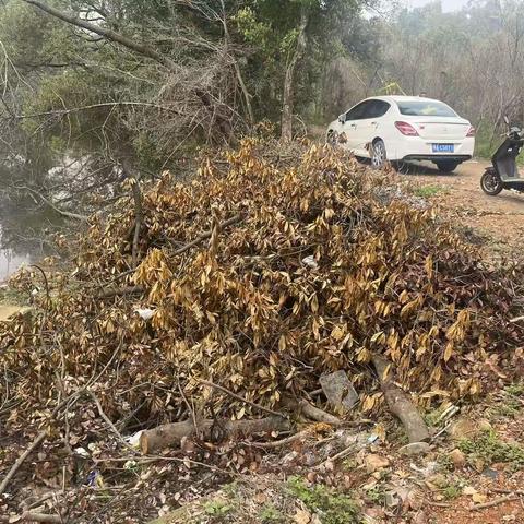 清洁家园护清明 市容保障暖民心