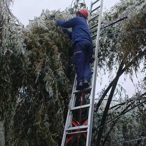 极端天气下的蓝色战士们