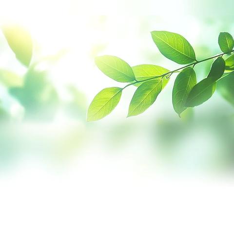 【相约麻秸村  一起上椿山】普集街道第四届香椿采摘节开幕啦！