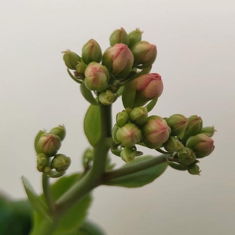 座谈交流寻良方  提质增效促发展 —东风学校班主任﻿科任教师协调交流会