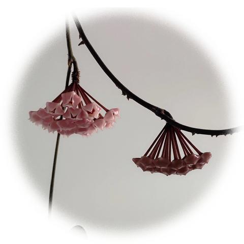 阅见美好 读润心灵 ——东风学校读书活动纪实