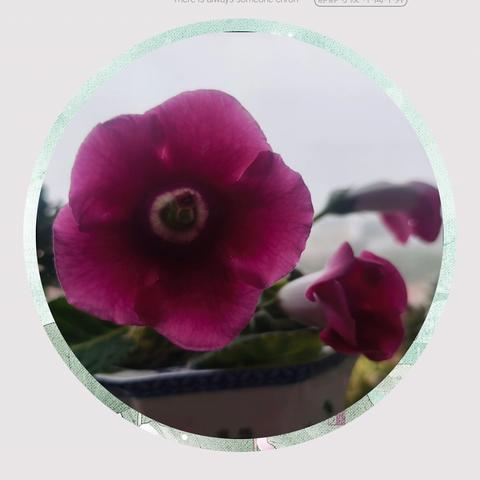 同成长 共进步 齐发展 ---东风学校2025-2026学年度蓝青工程启动仪式