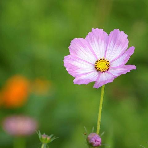 探秘蓝色海洋 激发科学梦想 —中国科学院讲师团科普知识讲座