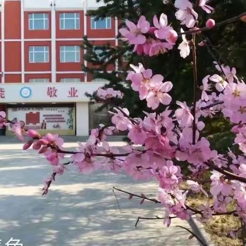 凝心聚力 云端研讨 务实创新 “疫”起前行             复兴中学英语组线上教研纪实