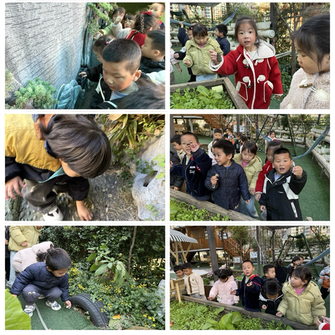 【小一班】石头奇遇记