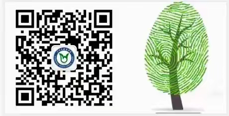 致家长的一封信：国庆小长假返校家庭教育小指南