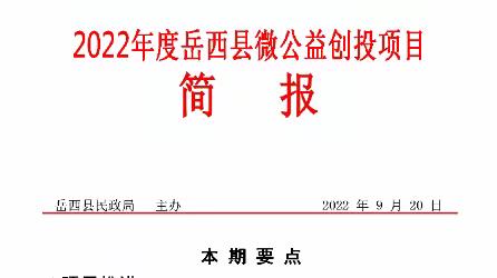 2022年度岳西县微公益创投项目简报及活动集锦