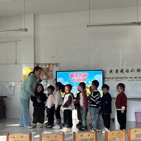 我爱我的小动物