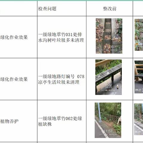 翠竹公园园科公园2023年1月13日随机检整改汇报